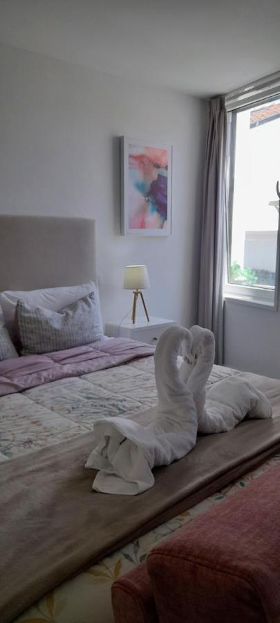 Light Blue Apartment 阿威罗 外观 照片